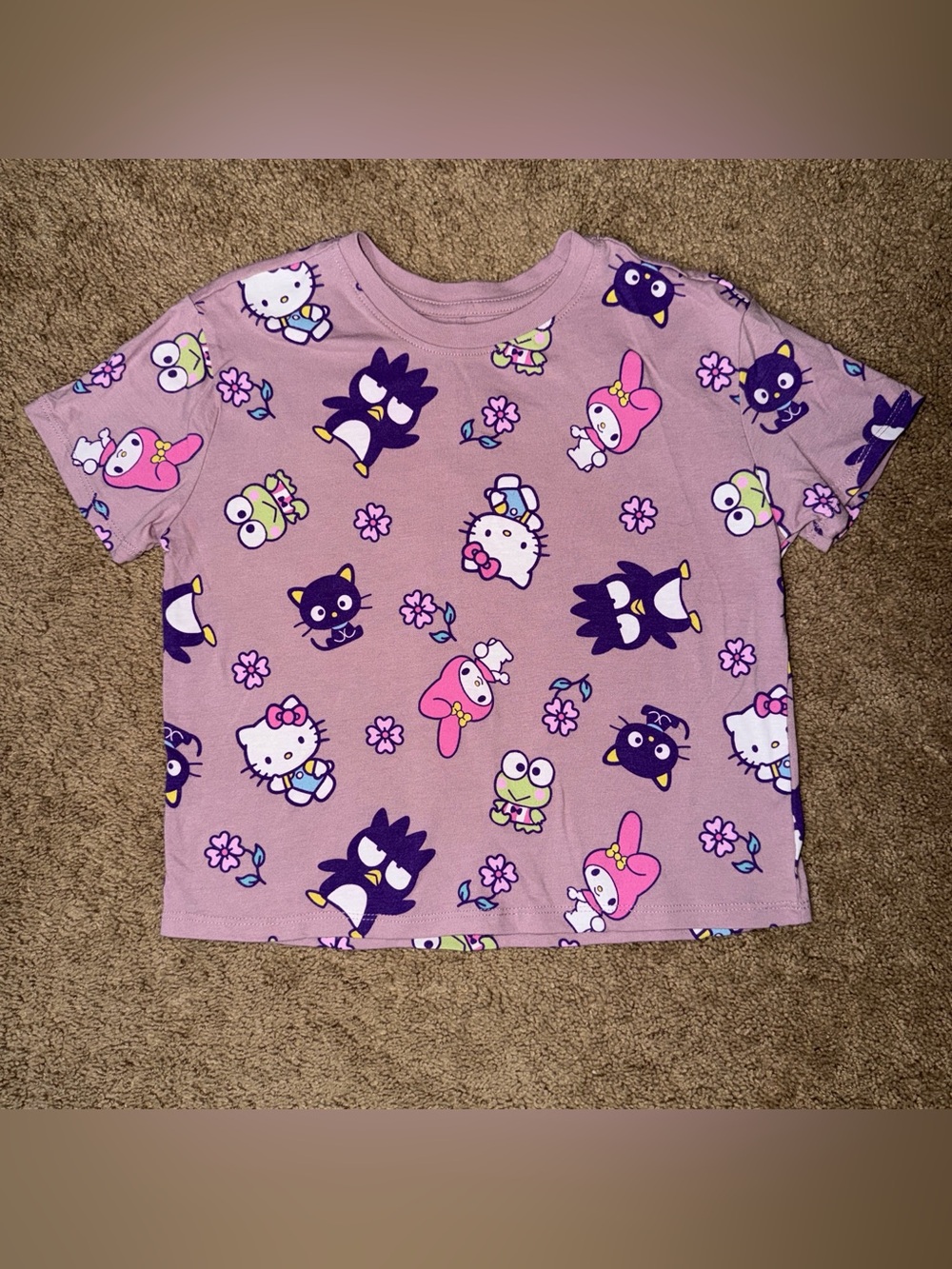 Sanrio Y2K Hello Kitty & Friends Shirt